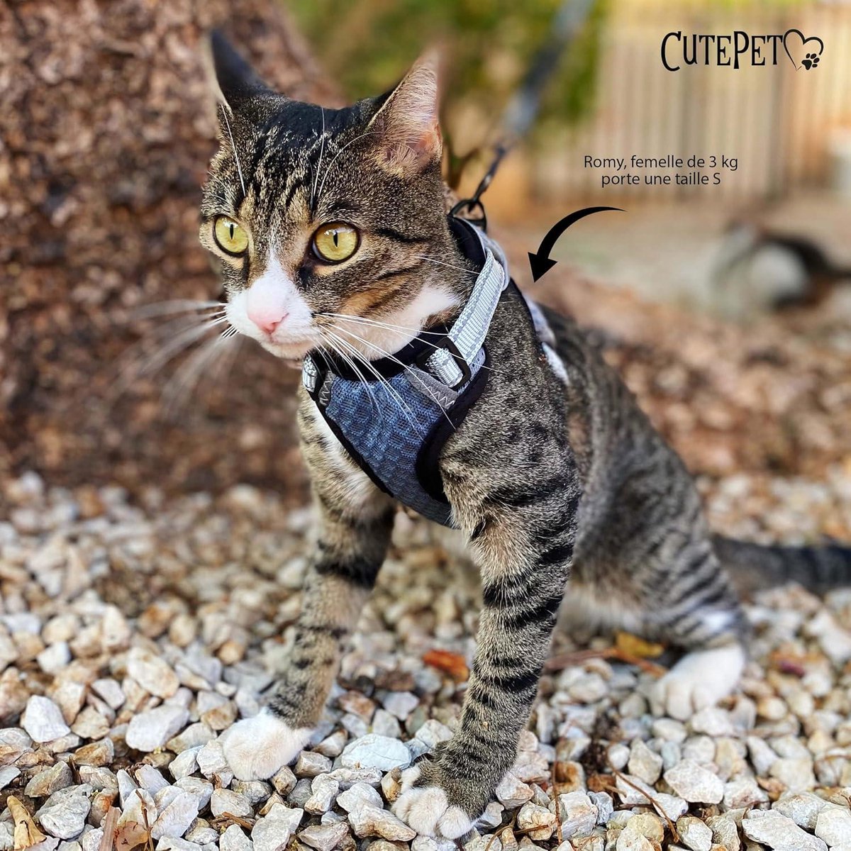 Anti-ontsnapping verstelbaar en reflecterend grijs hondentuig S - voor katten, kittens, kleine honden, Maine Coon, chihuahua met handschoen