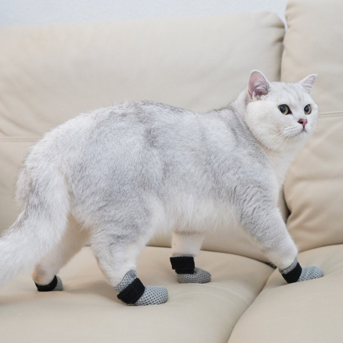 Krab Bescherming Katten - Nagelhoesjes Kat - Anti Krab Katten - Kattennagels - Maat L - Zwart