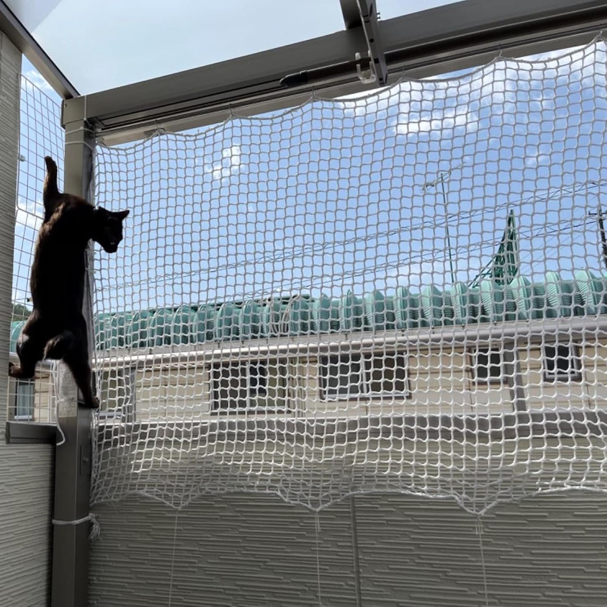 Kattennet voor balkon met valbeveiliging, veiligheidsnet, raambescherming en veelzijdig klimnet