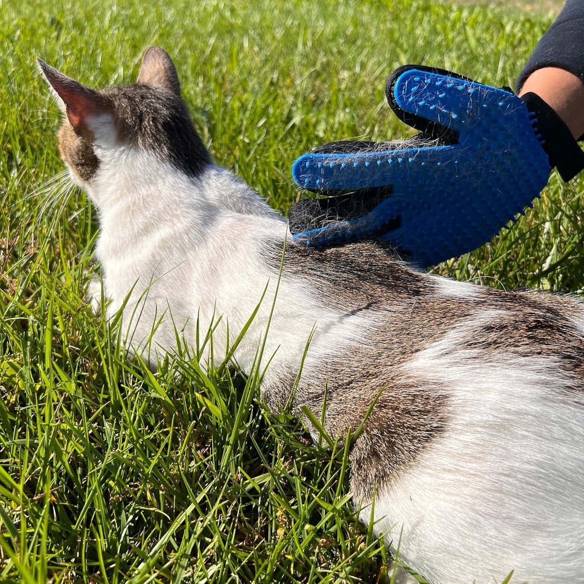 Anti-ontsnapping verstelbaar en reflecterend grijs hondentuig S - voor katten, kittens, kleine honden, Maine Coon, chihuahua met handschoen