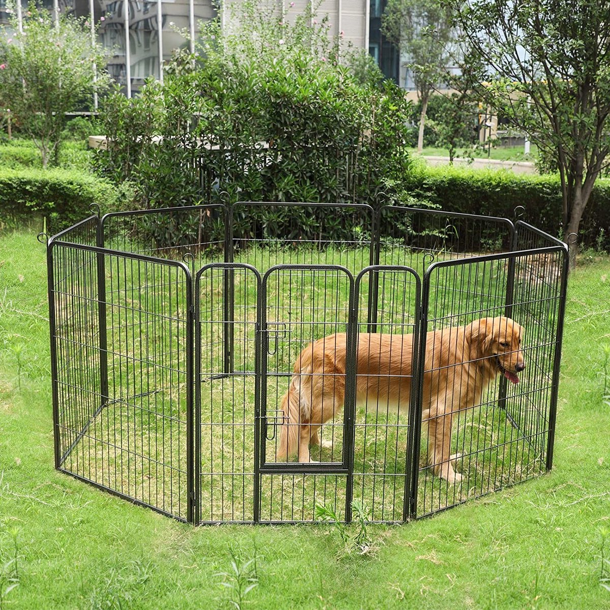 Dierenren XXL deluxe - Binnen en buiten - Hondenren, kippenren, kattenren - Ook een puppyren - Zwart - 200x200x150cm