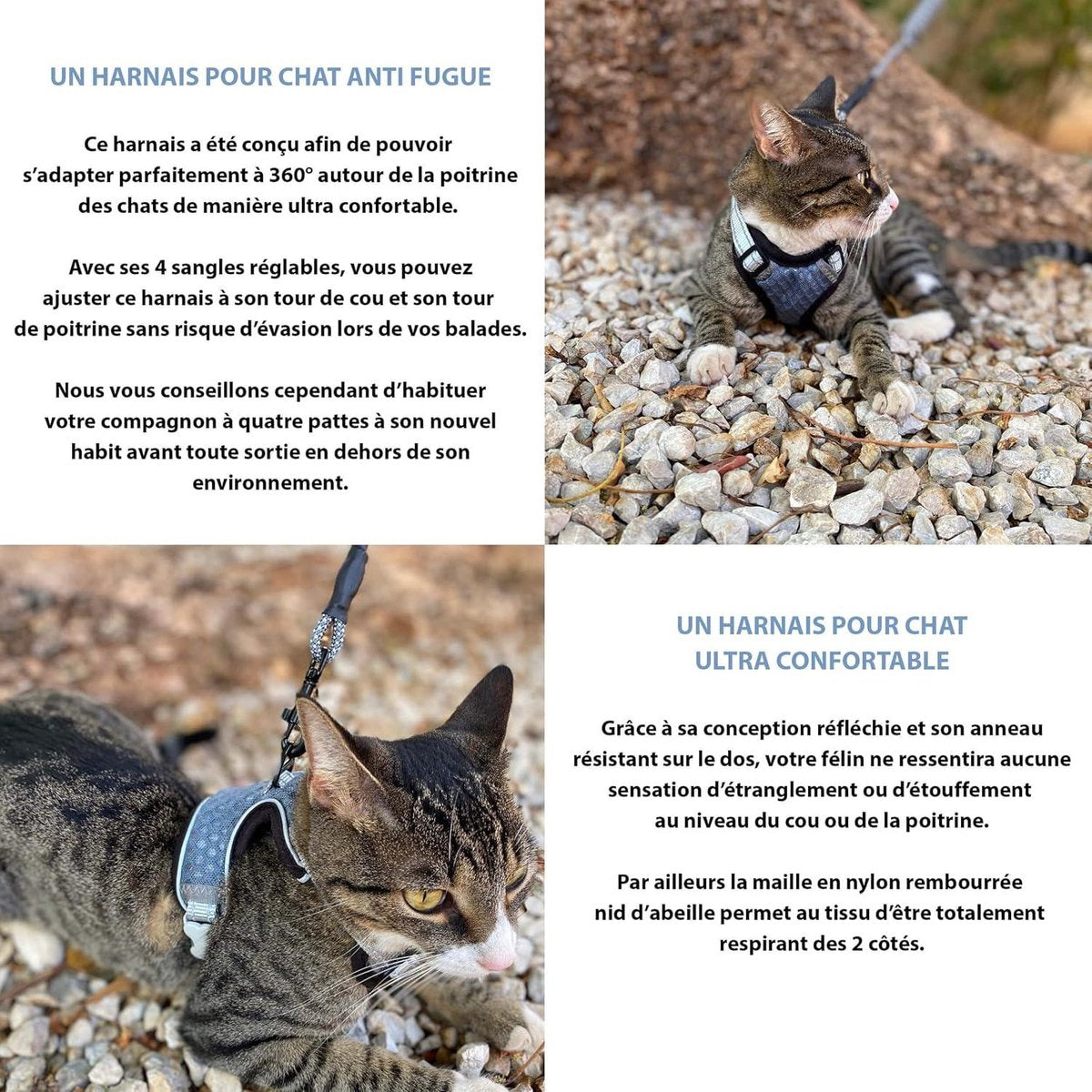 Anti-ontsnapping verstelbaar en reflecterend grijs hondentuig S - voor katten, kittens, kleine honden, Maine Coon, chihuahua met handschoen