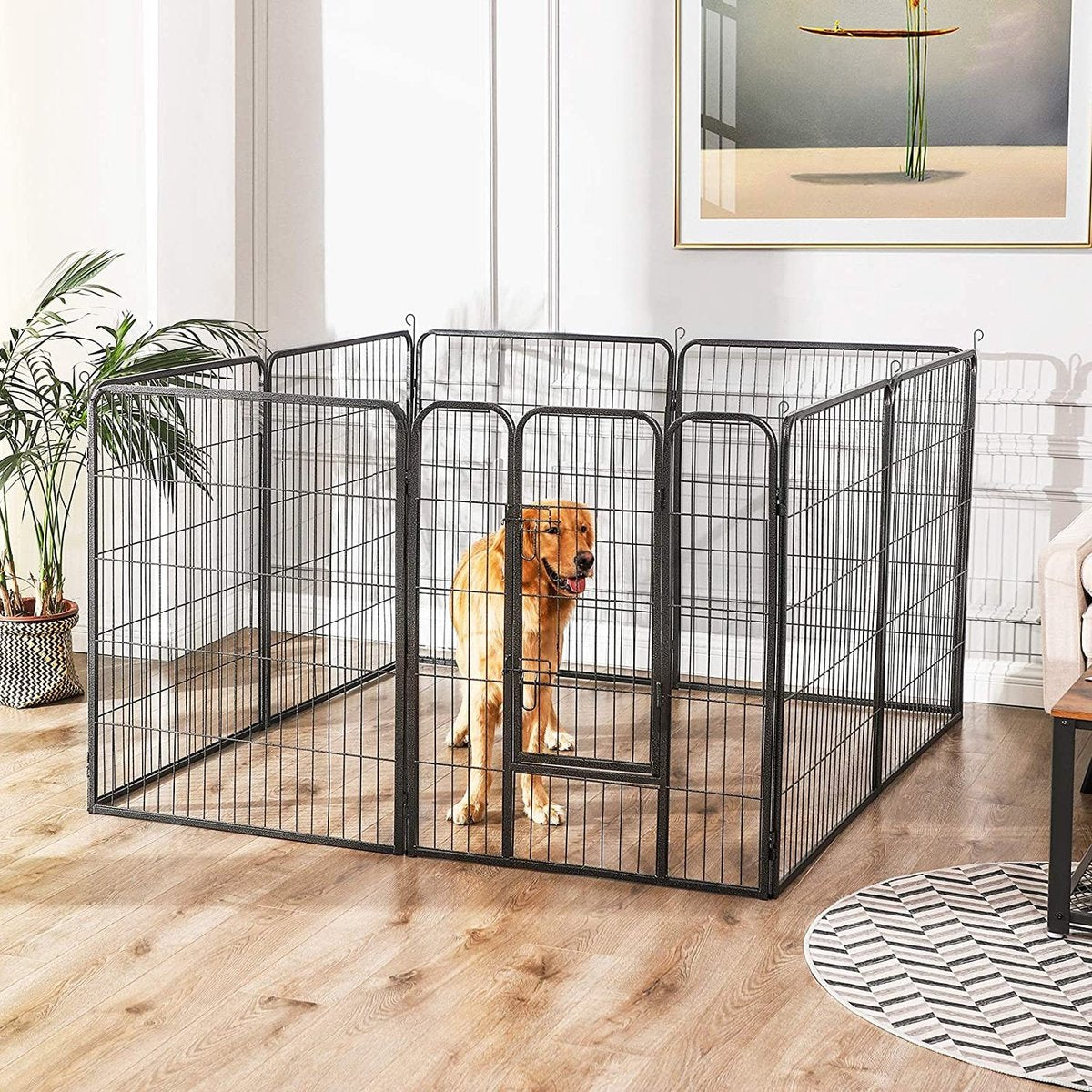 Dierenren XXL deluxe - Binnen en buiten - Hondenren, kippenren, kattenren - Ook een puppyren - Zwart - 200x200x150cm