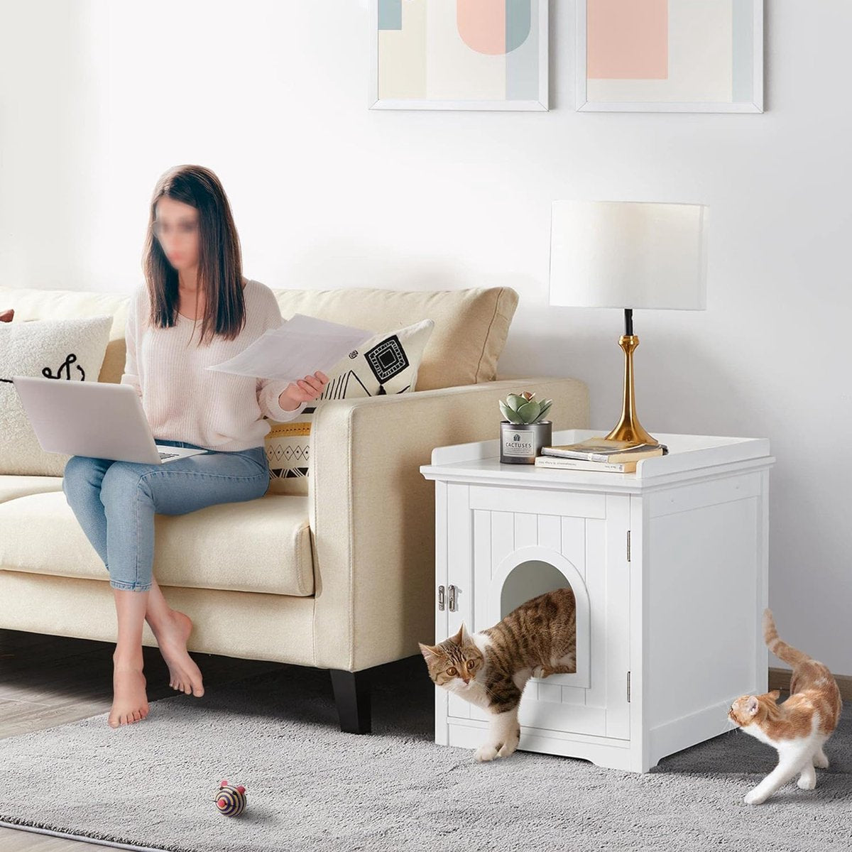 Cat Furniture - Litter Box Enclosure - Cat Cabinet - Cat Crate - Cat Cage - Cover Up - White Wood