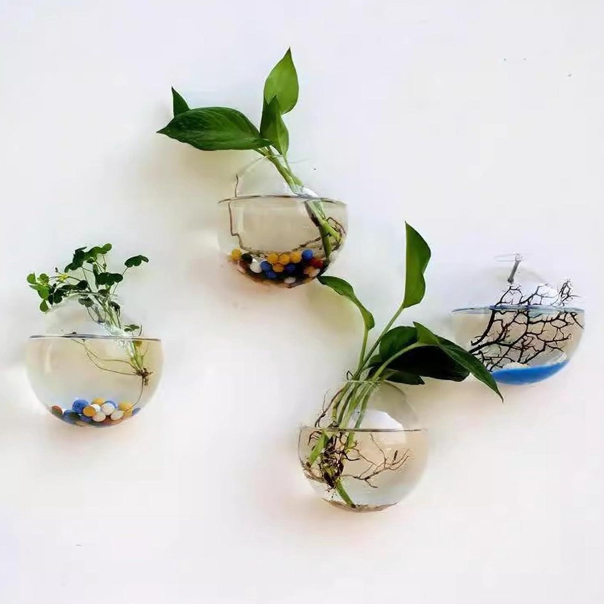 Hangende bloempotten - Set van 4 stuks - Glazen flessentuin terrarium voor binnenplanten - Bubble wandvaas 10 cm - Geschikt voor vetplanten, bloemen en aquaria Bloempot