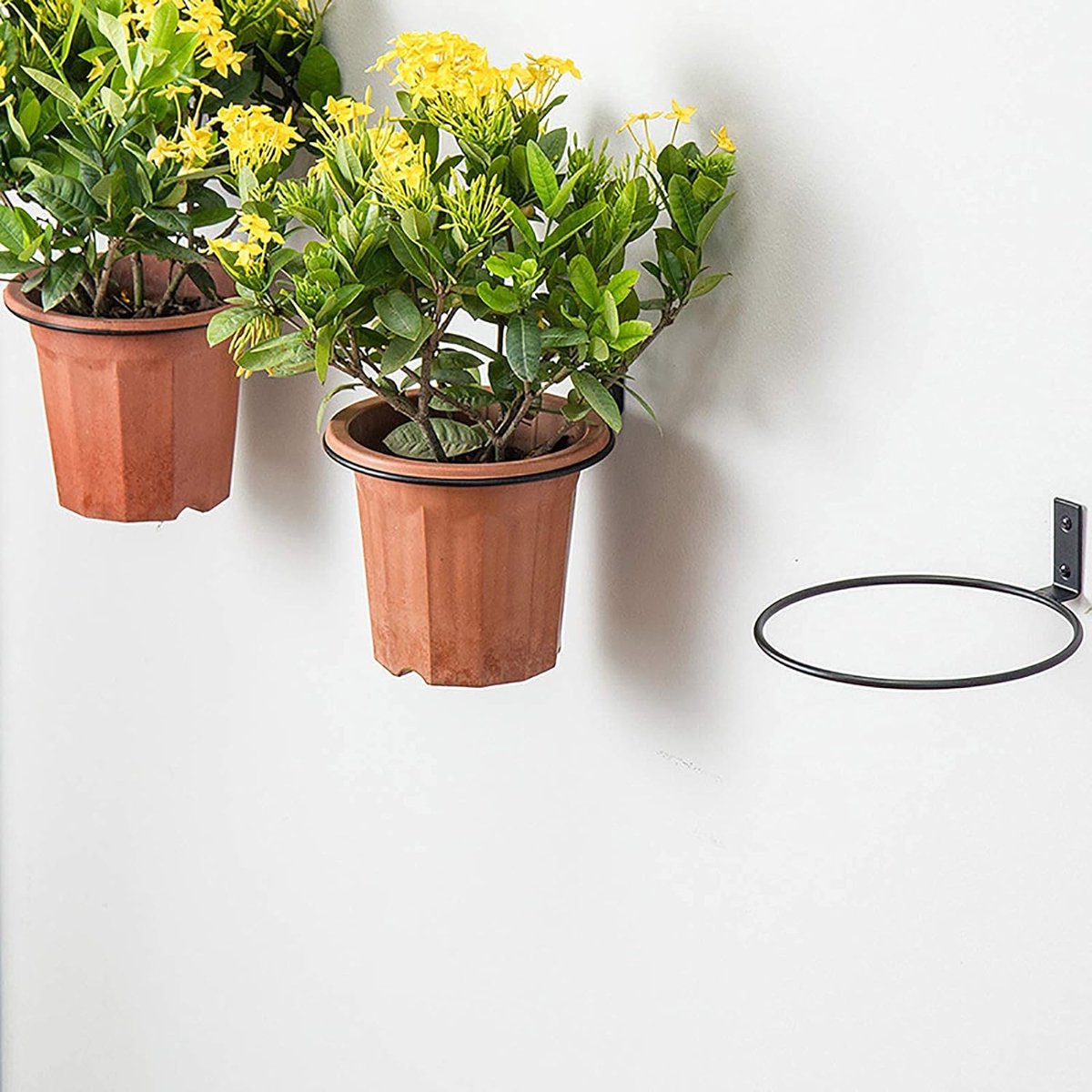 6 stuks wandgemonteerde bloempotten 10 cm bloempot ringhouder wandgemonteerde plantenhouder voor huis tuin balkon zwart