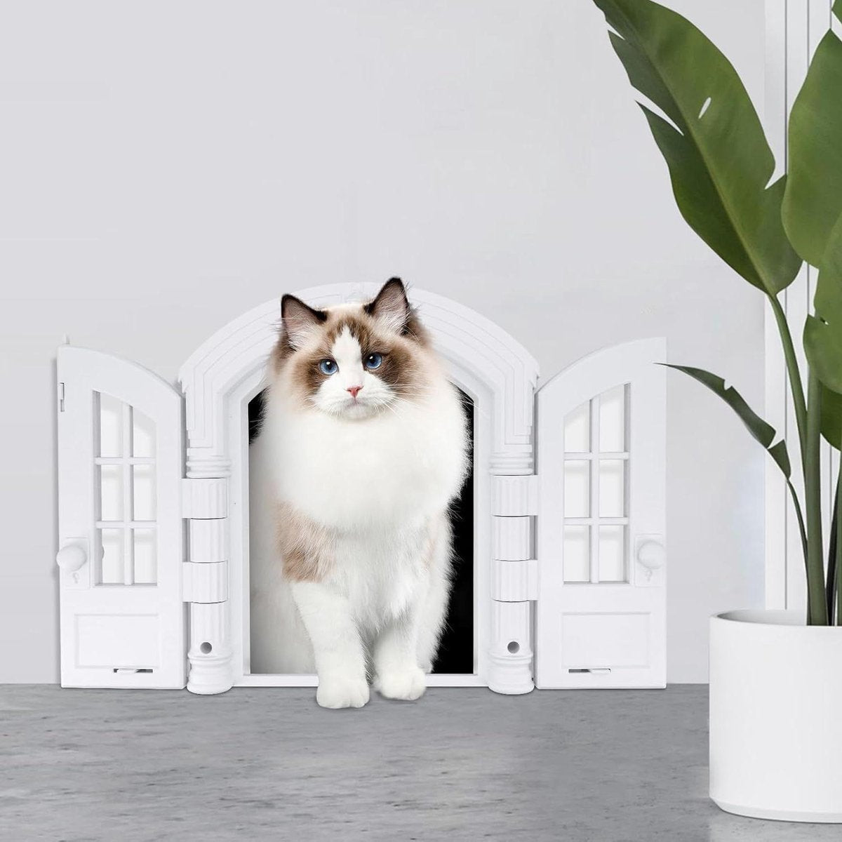 Cat flap - Outdoor cat door - Indoor cat flap - Easy self-assembly - Suitable for any door - 235 x 17 cm