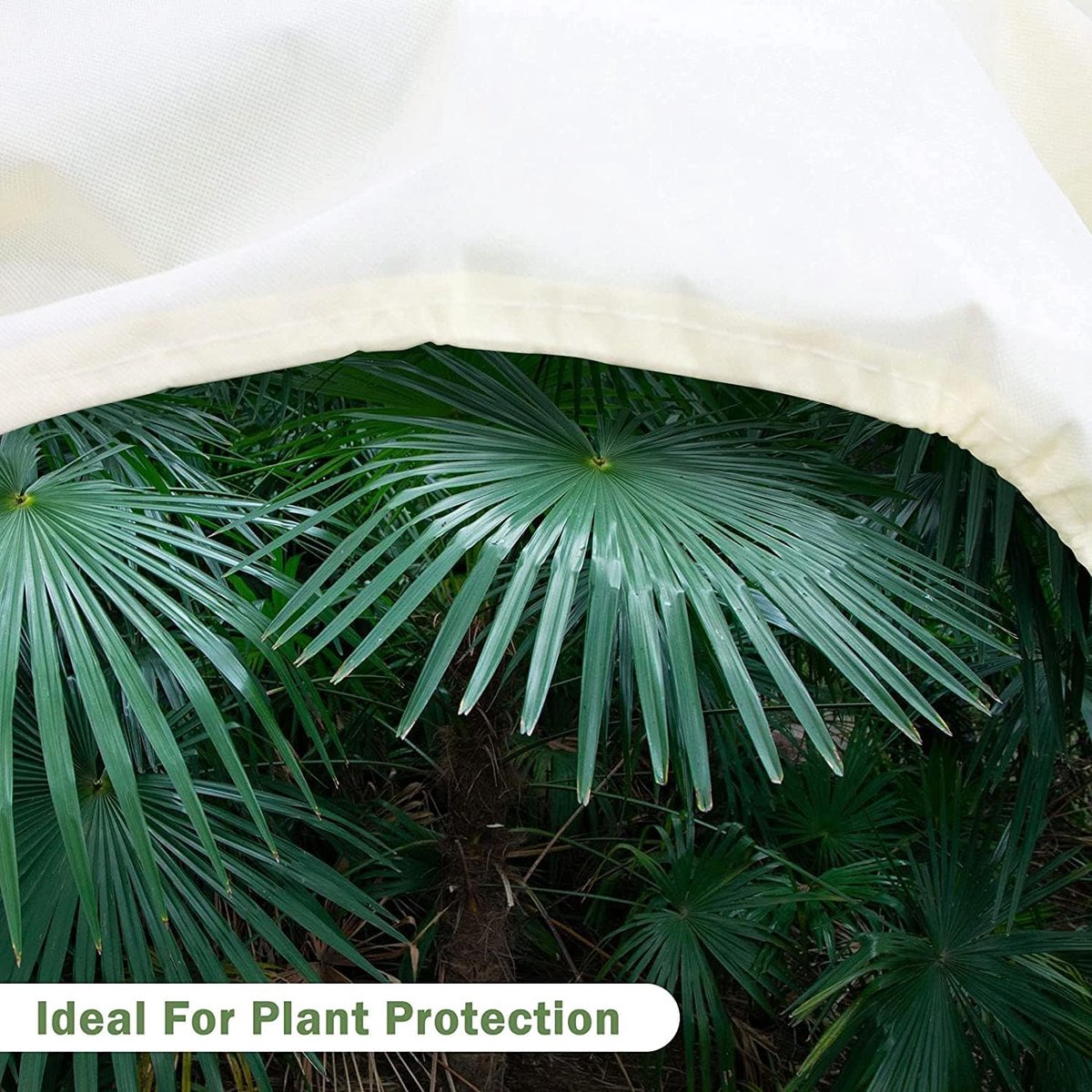 Potplantenzak Winterbescherming voor Planten Tent voor Balkon als Winterbescherming voor Potplanten Grote Plantenhoezen Plantenhoes Vorstbescherming Planten Plantenbeschermingszak Winter Wasbaar