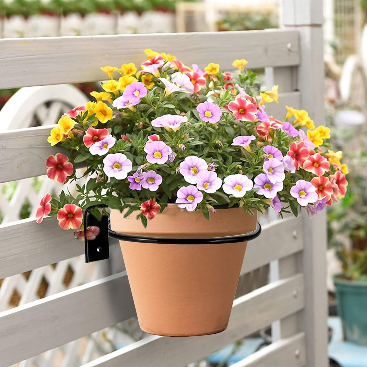 6 stuks wandgemonteerde bloempotten 10 cm bloempot ringhouder wandgemonteerde plantenhouder voor huis tuin balkon zwart