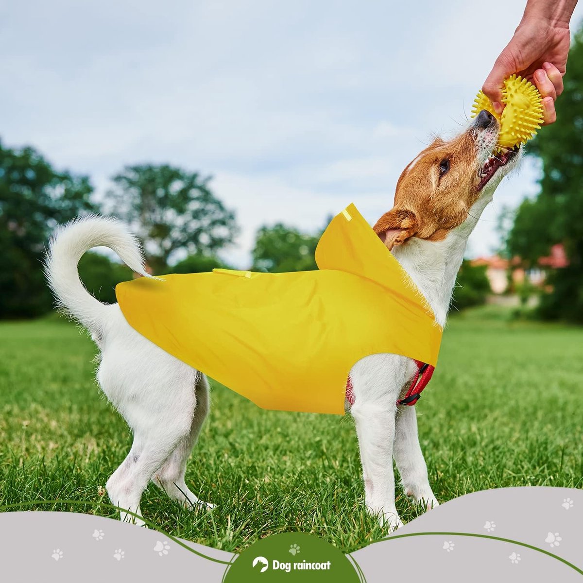 Dog Raincoat with Hood, Collar Hole and Safe Reflective Strips, Ultralight, Breathable, 100% Waterproof Rain Jacket for Medium to Large Dogs, Yellow, 4XL