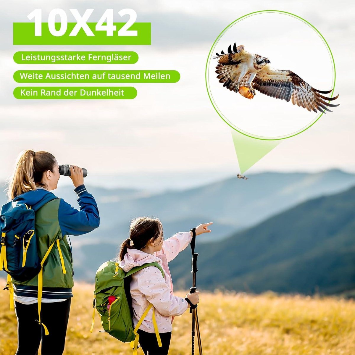 10 x 42 HD compacte waterdichte verrekijker voor vogelobservatie en wandelen - zwart