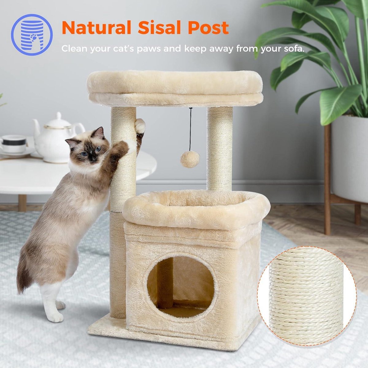 Krabpaal voor kleine katten - kattentoren met meerdere niveaus - sisal bedekt - gezellig kattenhuis - grote kattenzitplaats - binnenkat