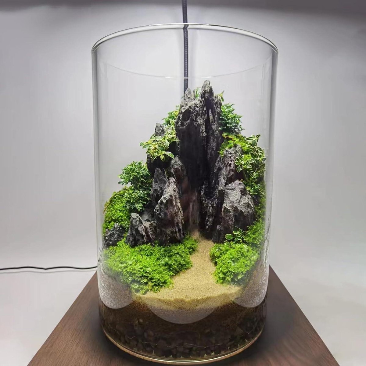 Aquariumrotsen van gegoten harssteen - lichtgewicht decoratieve aquariumrotsen - berggezicht paludarium terraria - 748 inch 551 inch 787 inch