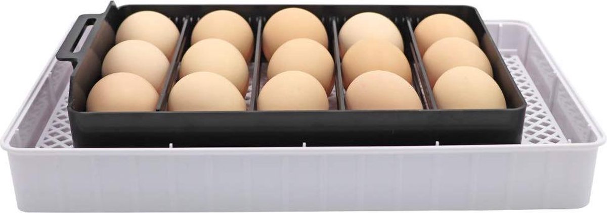 Automatic Egg Incubator with Heating Plate Incubator with Luxury Hygrometer - Up to 60 Eggs