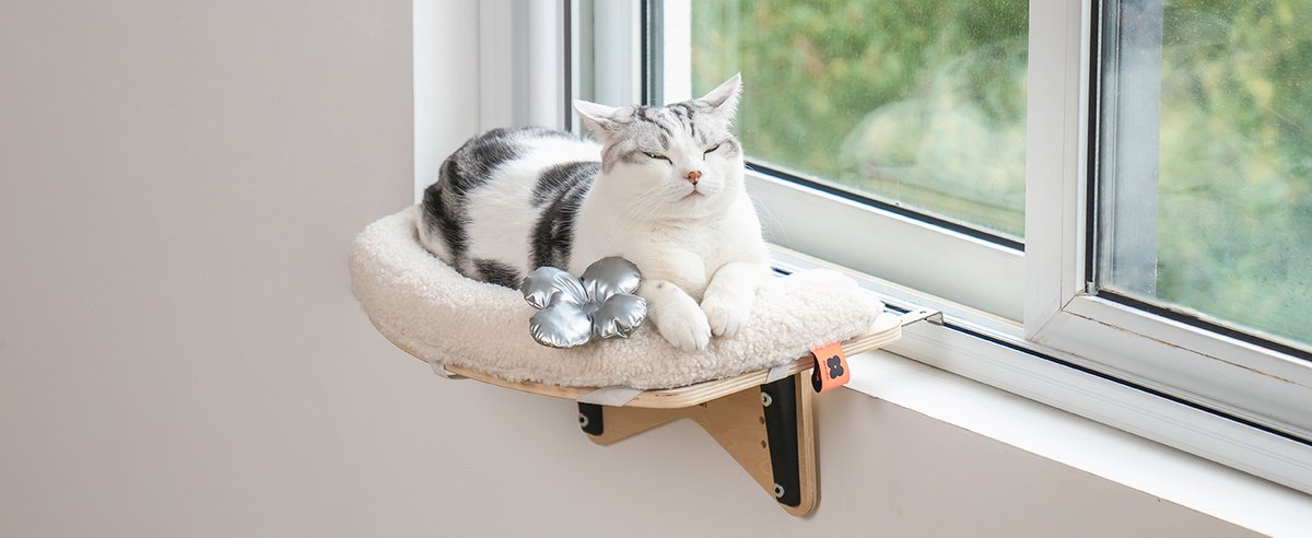 Mewoofun Duurzame Katten Hangmat Raambevestiging Met Zachte Kussenmat Voor Katten Binnenshuis Biedt Een Stabiele Lig- Zitplek Voor Uw Kat