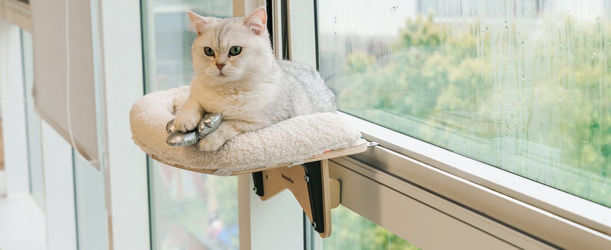 Mewoofun Duurzame Katten Hangmat Raambevestiging Met Zachte Kussenmat Voor Katten Binnenshuis Biedt Een Stabiele Lig- Zitplek Voor Uw Kat