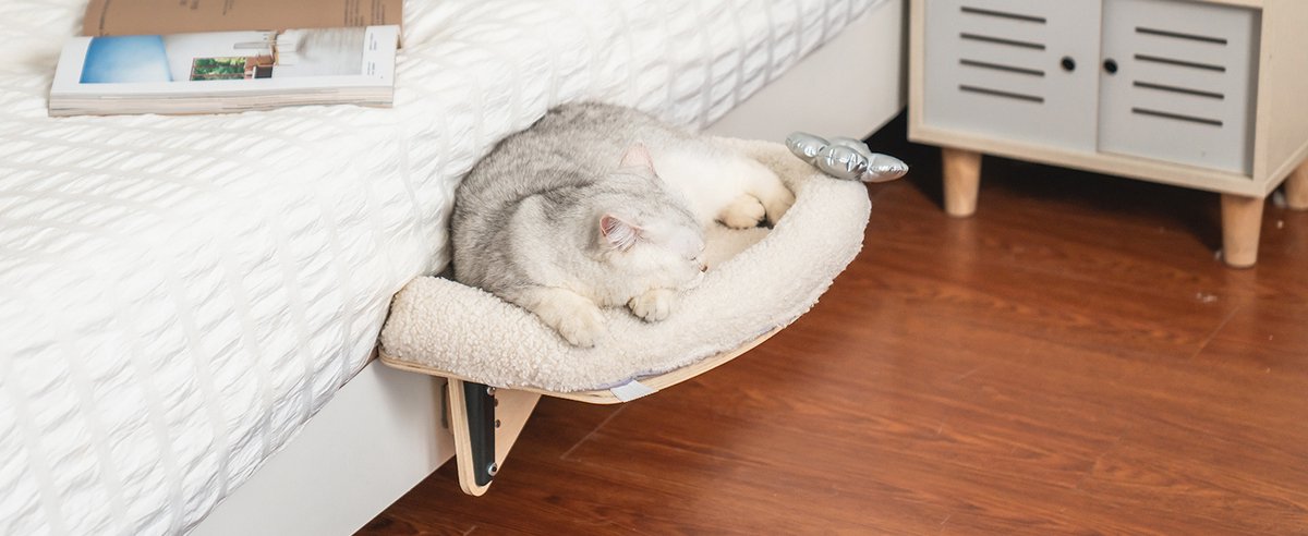 Mewoofun Duurzame Katten Hangmat Raambevestiging Met Zachte Kussenmat Voor Katten Binnenshuis Biedt Een Stabiele Lig- Zitplek Voor Uw Kat