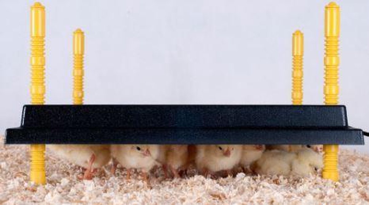 Heat plate 25 x 25 CM - Drinking bottle 0.5 L - Feeder - For chicks