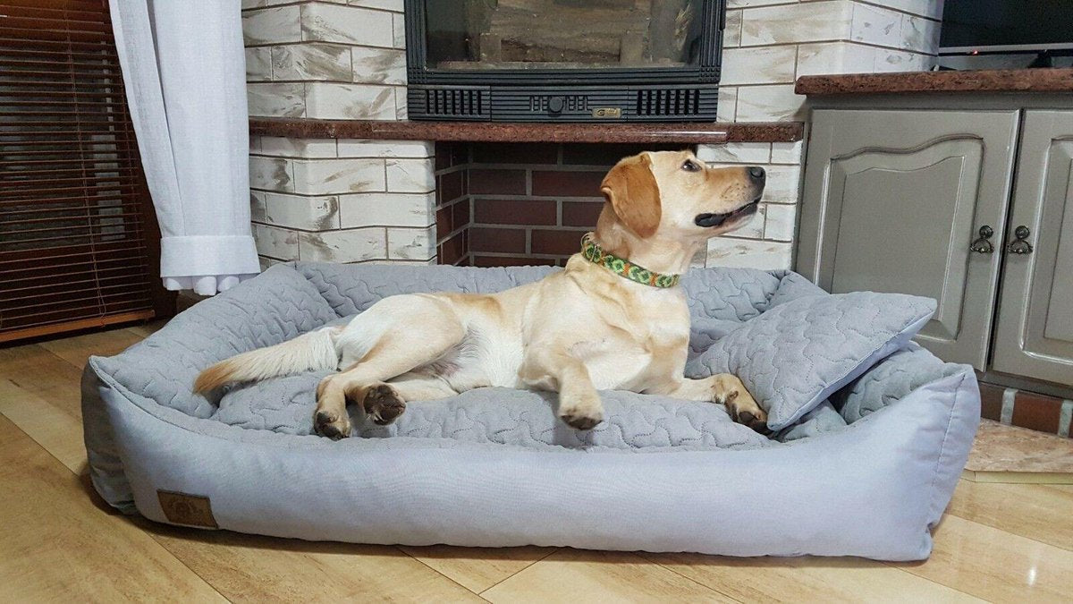 Dog bed XXL - 120x90 cm - water repellent - light grey