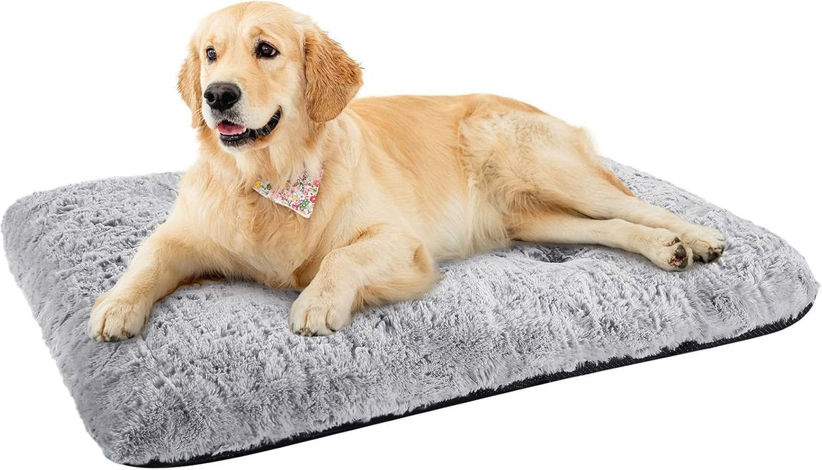 Comfortabel Hondenbed, 60 x 45 cm, Wasbaar Kattenbed, Zacht, Hondenkussen, Hondenmat in Grijs met Antislip Onderkant