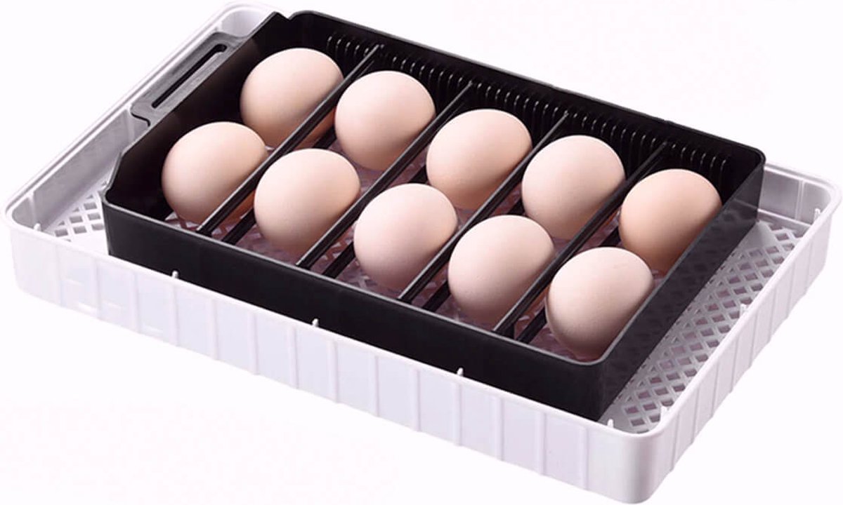 Complete hatching package - 12-egg incubator - including chick starter kit - feeder - hygrometer - Comfort heat plate 25 x 25 cm - chick feed 500 gr