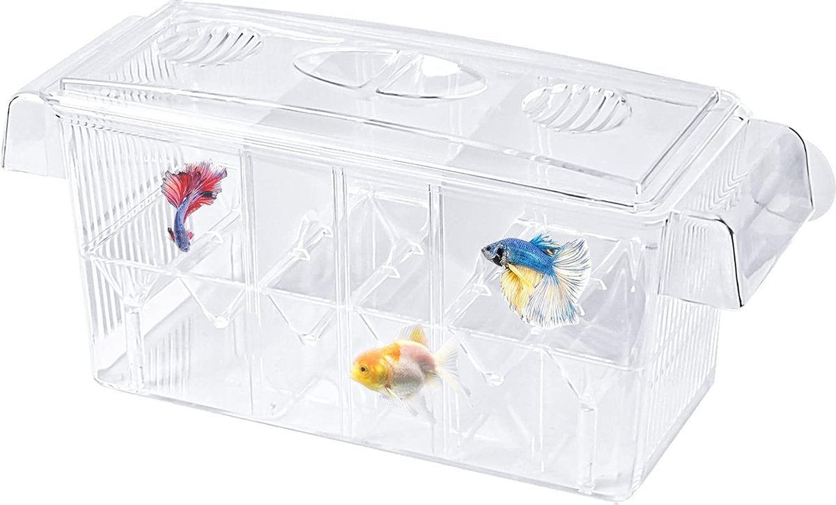 Fish breeder box with suction cups, breeding box aquarium, fish breeding box aquarium, fish hatchery, fish breeding box, breeding tank, aquarium for baby fish, shrimp and guppy
