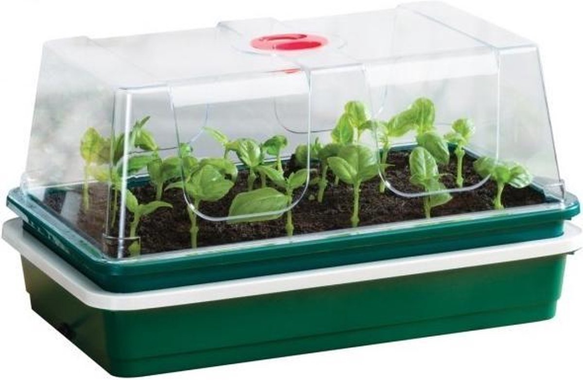 Electric heated seed tray with 1 propagator