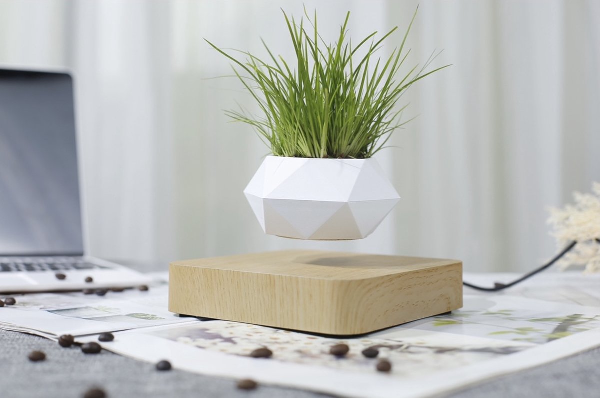 Floating flower pot - Floating plant - Magnetic - Indoor flower pot - Modern decoration - Light brown base