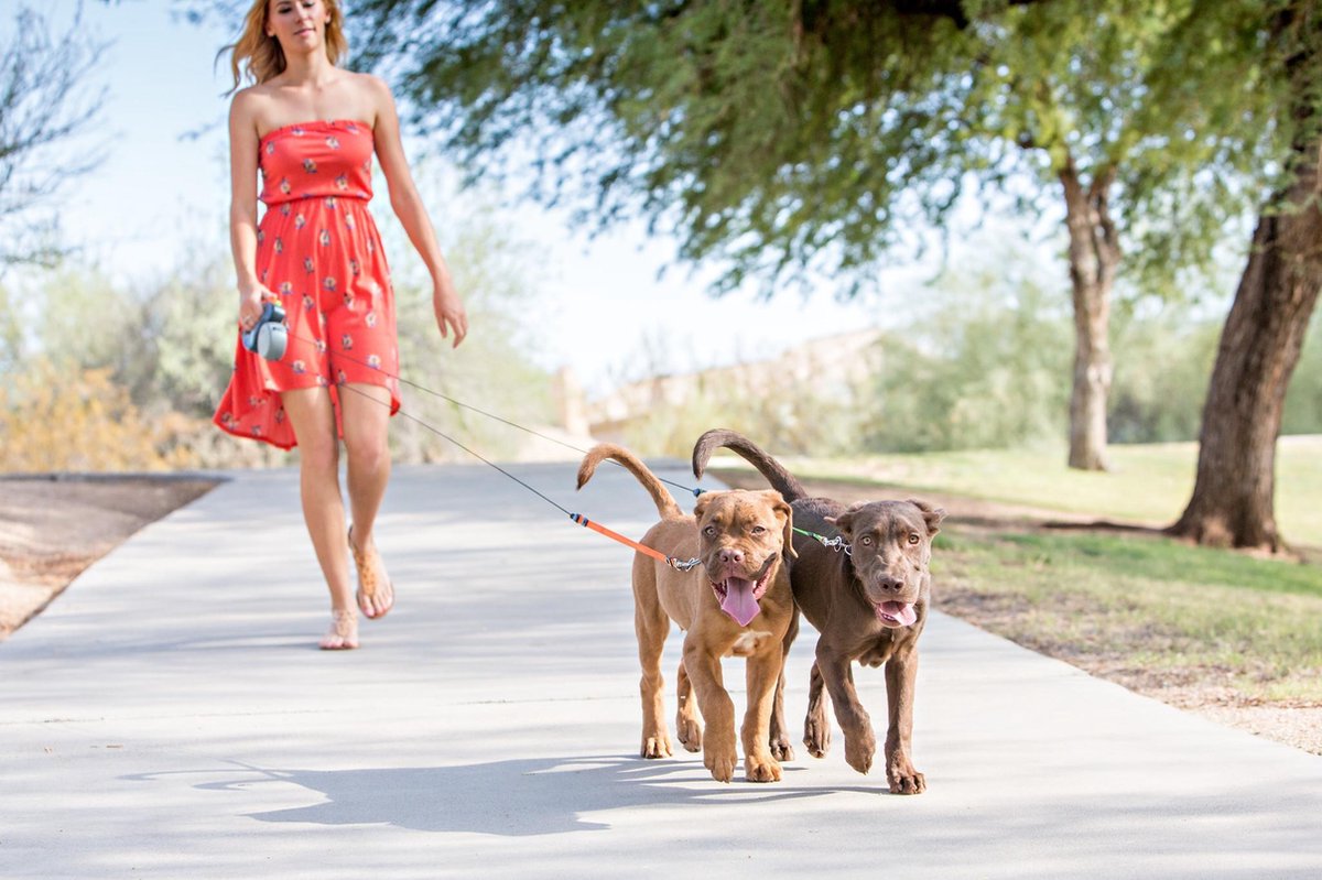 Dual Dog Leash For Two Dogs - Grey - Up to 22 kg (per dog) - 300 cm