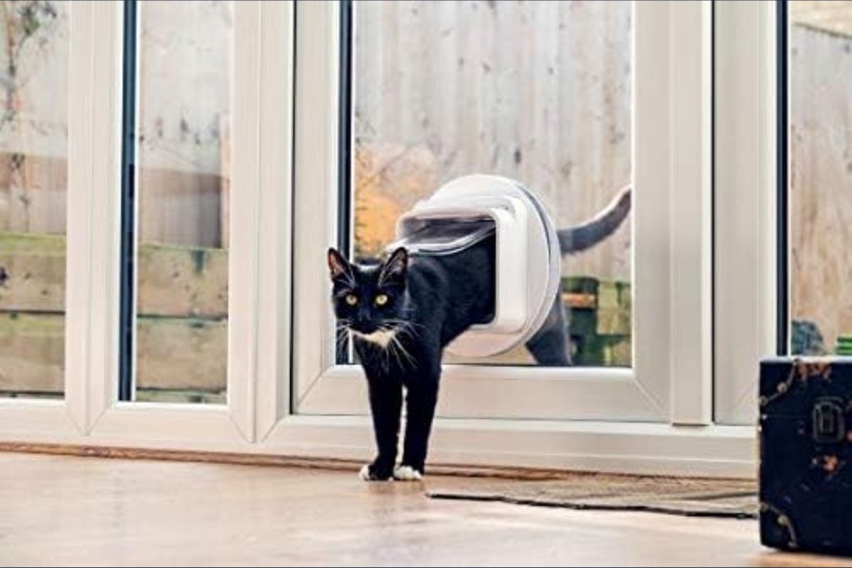 Kattenluik - Kattenluik met Chip - Kattenluik Microchip - Wit