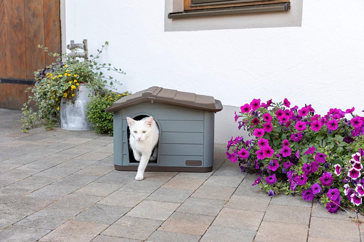 Kattenren - Kattenhuis - Kattenverblijf buiten - Duurzaam - Kattenhuis voor buiten - Kattenhuisje buiten - Kattenhok buiten