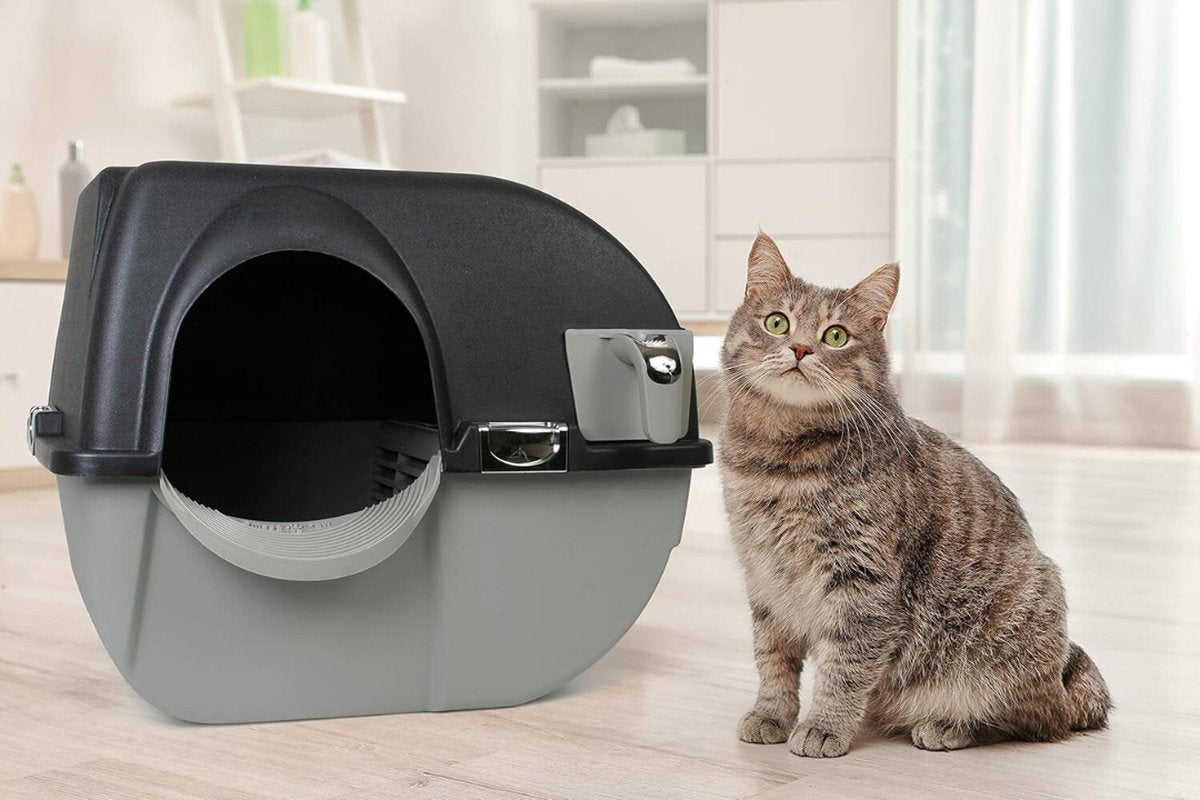 Automatic Cat Litter Box - Electric Cat Litter Box - Self-Cleaning Cat Litter Box - Scoopfree
