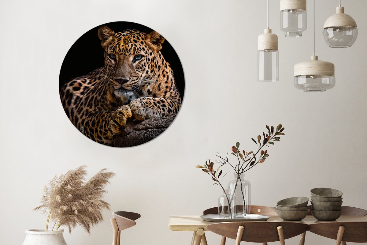 Muurcirkel - Wandcirkel dieren - Luipaard - Boomstam - Dieren - Muurdecoratie - Kunststof - 90x90 cm - Muurcirkel binnen - Ronde schilderijen - Wandcirkel