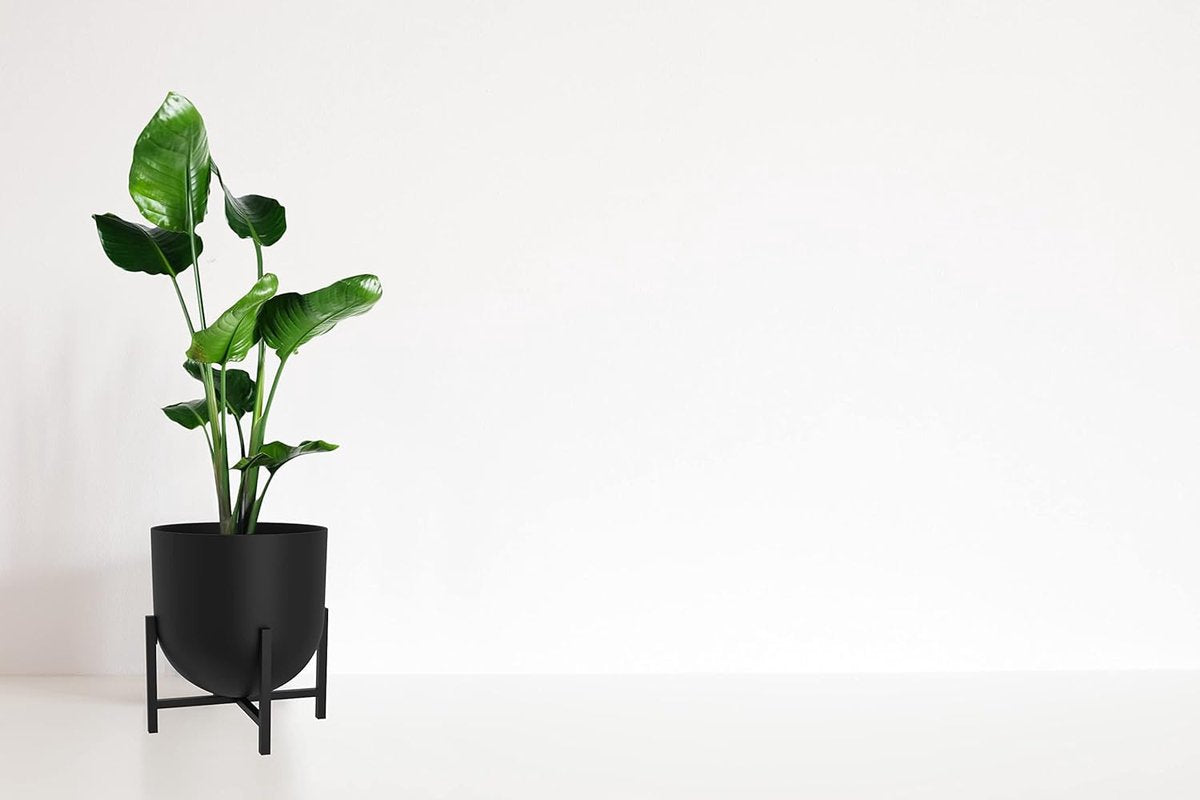 Bloempot met plantenstandaard - metalen plantenpotten voor binnen 22 cm bloempot (zwart)