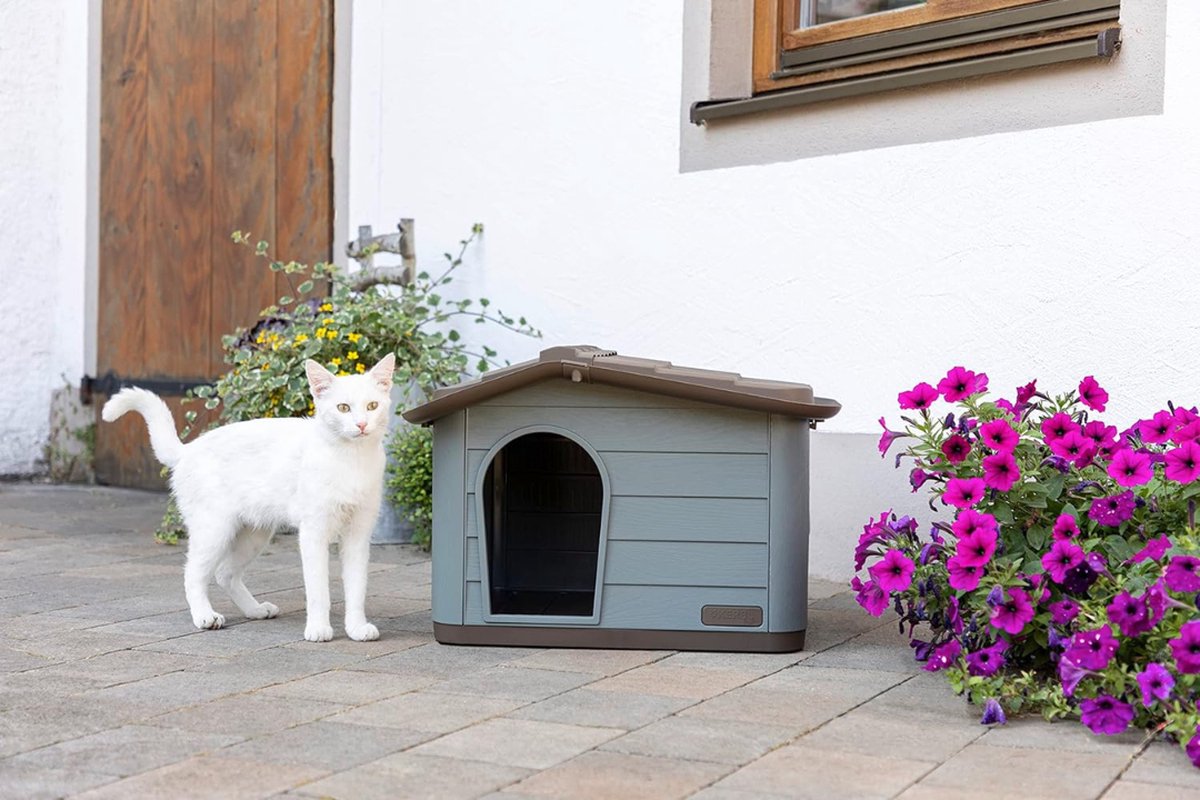 Kattenren - Kattenhuis - Kattenverblijf buiten - Duurzaam - Kattenhuis voor buiten - Kattenhuisje buiten - Kattenhok buiten
