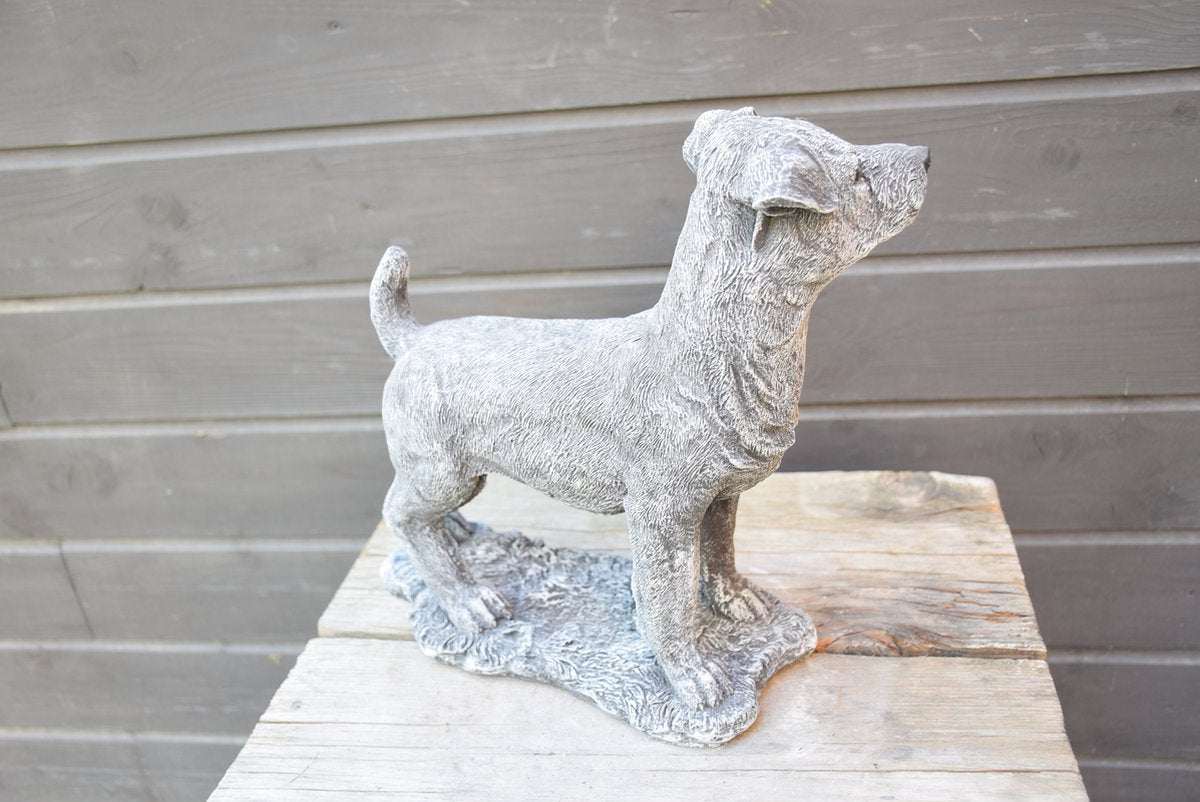 Jack Russell, beeld voor binnen of buiten