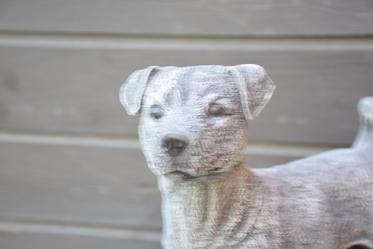Jack Russell, beeld voor binnen of buiten