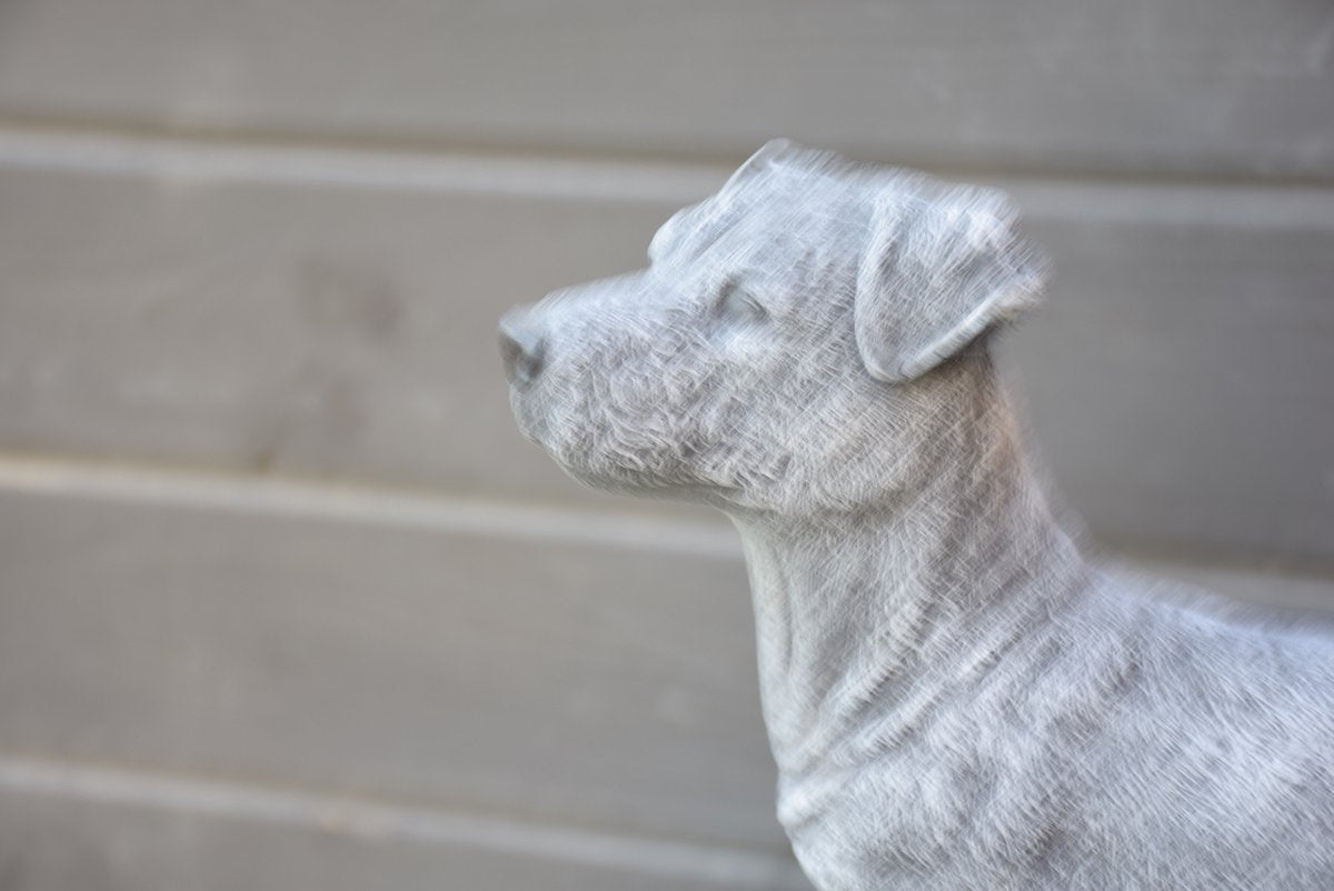 Jack Russell, beeld voor binnen of buiten