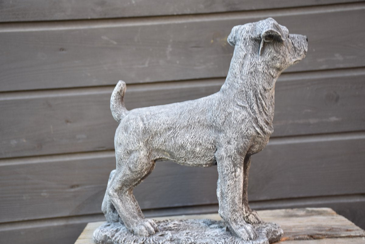 Jack Russell, beeld voor binnen of buiten