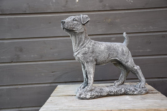 Jack Russell, beeld voor binnen of buiten