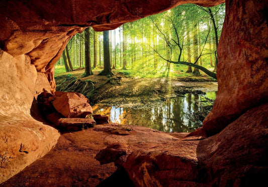 Fotobehang - Vliesbehang - 3D Uitzicht vanuit de Grot op het Bos - 368 x 280 cm