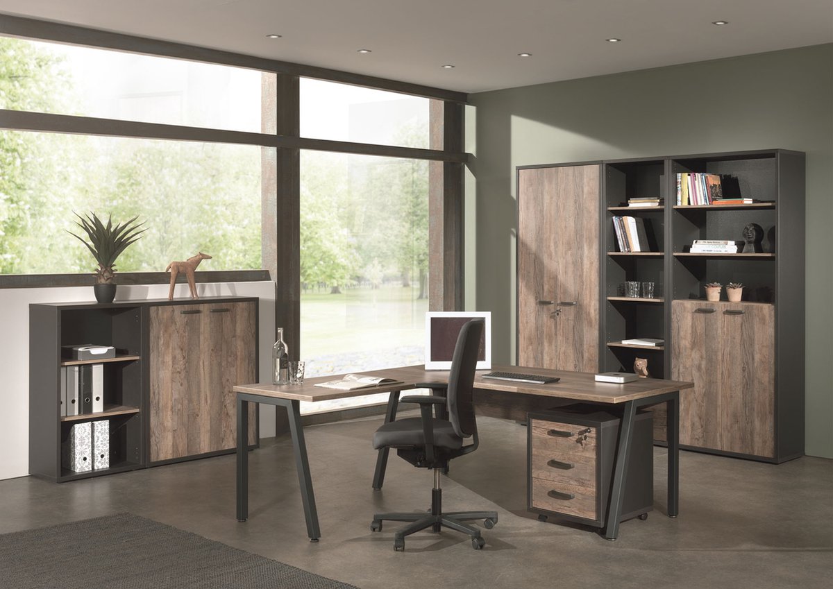 High dense office cabinet Roland Black - Vintage - Width 90 cm - Height 216 cm - Depth 40 cm - With shelves - With swing doors