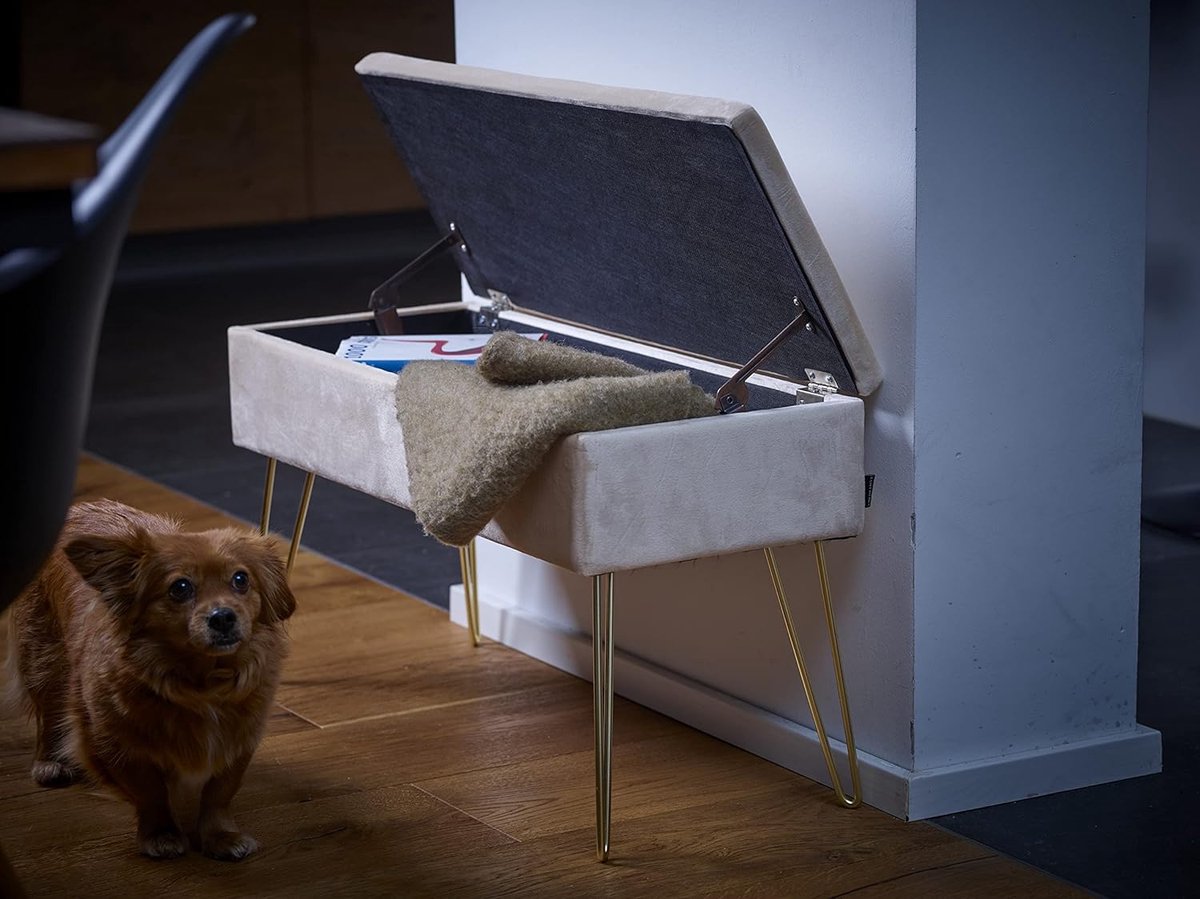 ECHTWERK Scarlett Zitbank, gestoffeerde bank met fluwelen bekleding, opbergkist rechthoekig, make-upbank met opbergruimte, opbergbank met metalen poten, 75 x 30 x 41,5 cm, polyestermix, crÃ¨me