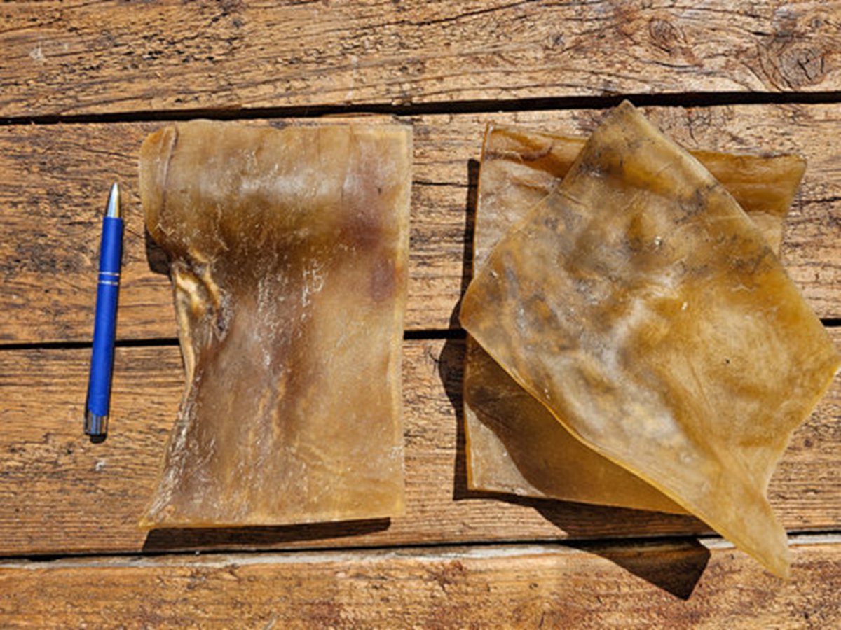 Scalp Plate 5kg