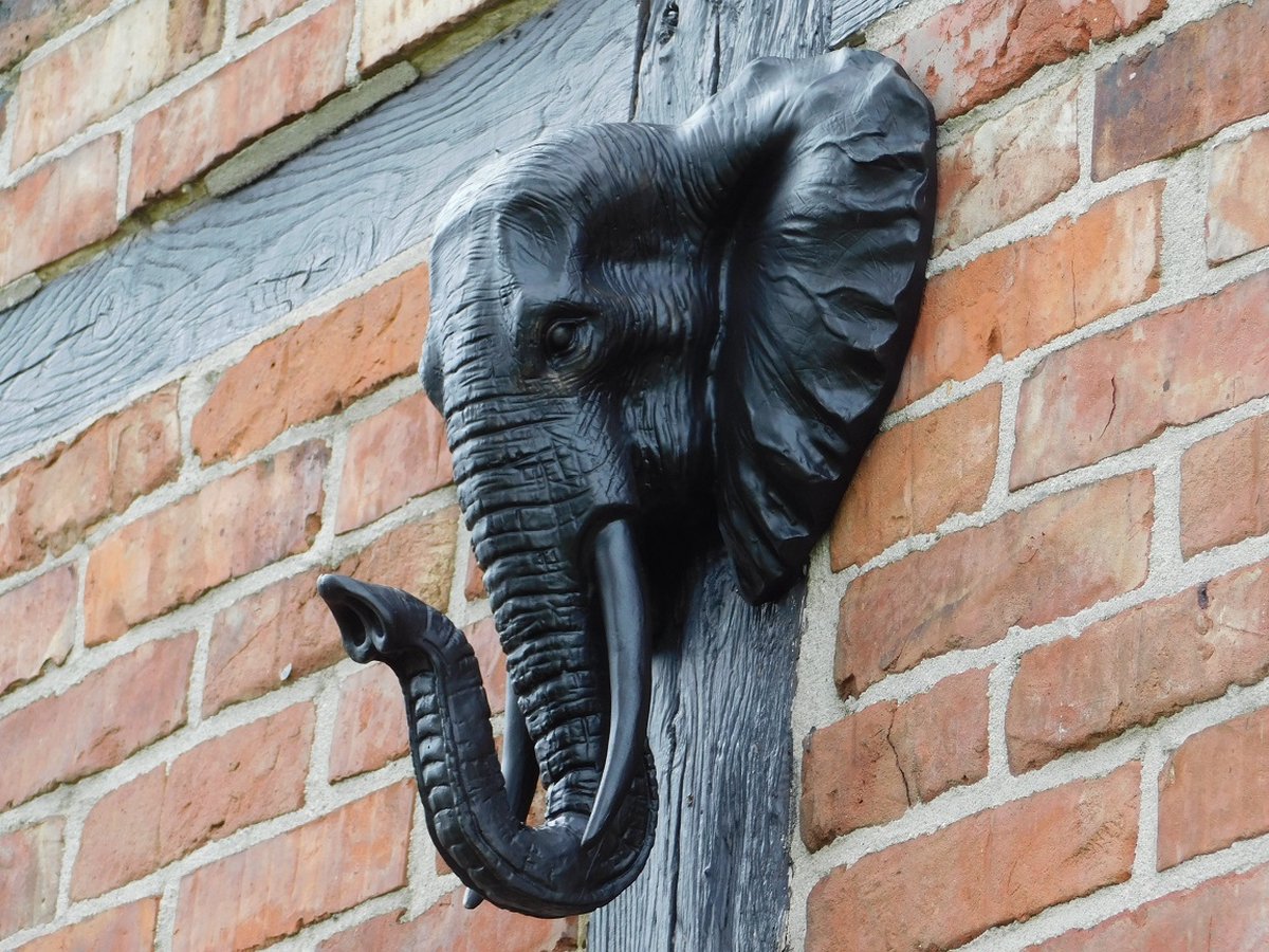 Zwarte olifantenkop - Wanddecoratie - Polystone