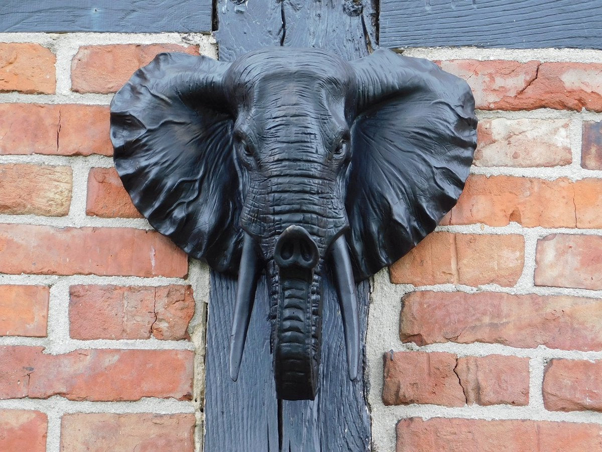 Zwarte olifantenkop - Wanddecoratie - Polystone