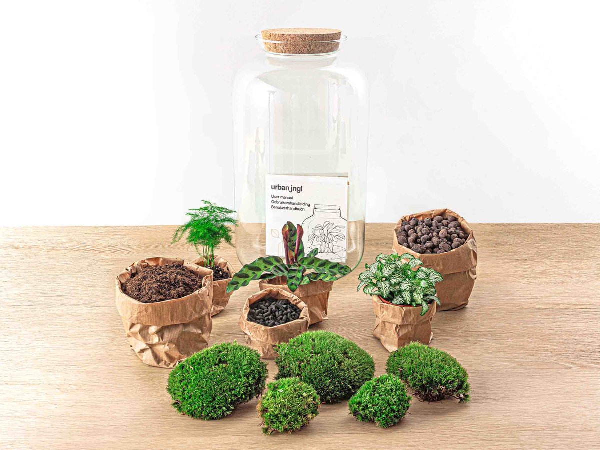 DIY terrarium - Botanisch Sven XL - ↑ 43 cm