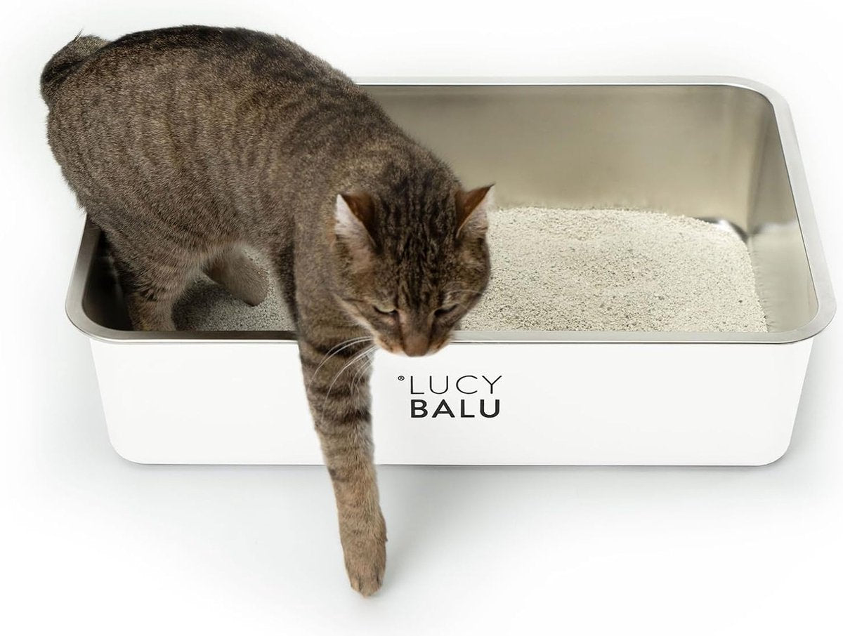 Geurvrije RVS kattenbak | Grote roestvrijstalen kattenbak | Open kattenbak voor toegang van bovenaf | Hop-in kattentoilet zonder deksel | Kattentoilet | RVS kuip | Wit