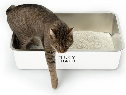 Geurvrije RVS kattenbak | Grote roestvrijstalen kattenbak | Open kattenbak voor toegang van bovenaf | Hop-in kattentoilet zonder deksel | Kattentoilet | RVS kuip | Wit