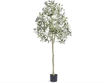 Olijfboom - Olijfboom kunst - Boom- Nep plant - Decoratie - 181cm - Binnen en Buiten - Zwart/Groen